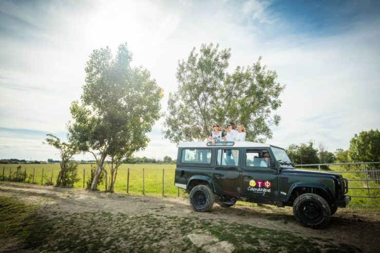 Camargue: Half-Day 4x4 Guided Safari Adventure - Activity Details