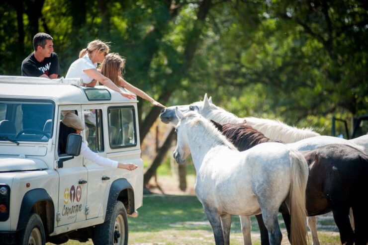 Camargue: Half-Day 4x4 Guided Safari Adventure - Authentic Camargue Landscapes