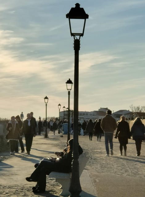 Camargue, Its Secrets and Its Magic: an Exclusive Tour - Itinerary Highlights