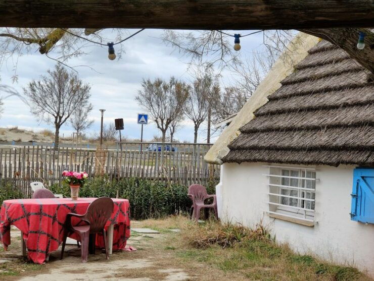 Camargue, Its Secrets and Its Magic: an Exclusive Tour - Good To Know