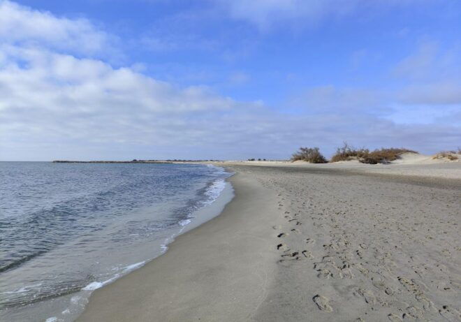 Camargue, Its Secrets and Its Magic: an Exclusive Tour - Booking Options and Contact Information
