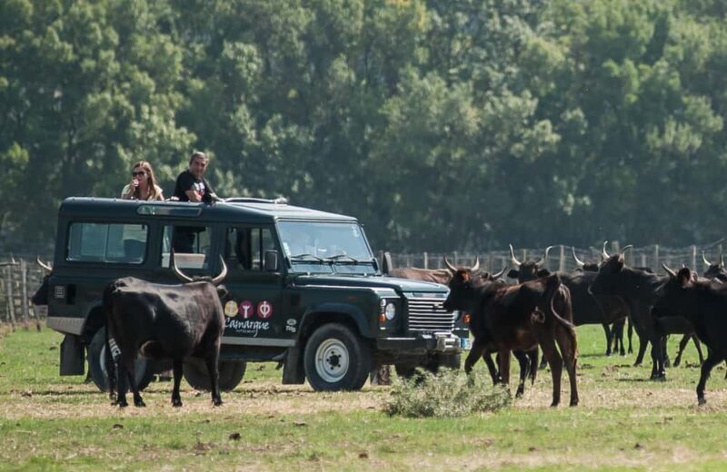 Camargue: Safari 4x4, VIP Tour with Meal 8h, Grau du Roi - Good To Know
