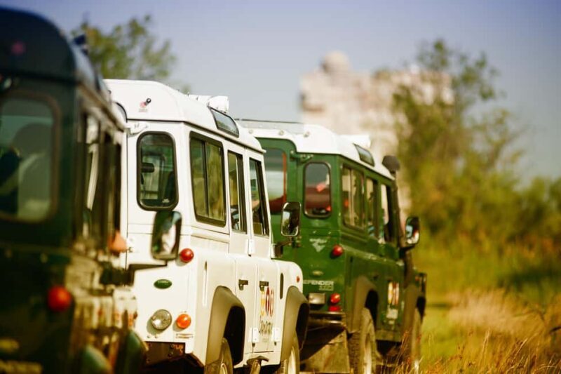 Camargue: Safari 4x4, VIP Tour with Meal 8h, Grau du Roi - An Authentic Day in the Camargue