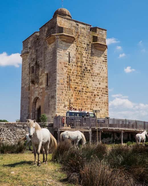 Camargue: Safari 4x4, VIP Tour with Meal 8h, Grau du Roi - Who Will Love This Experience?