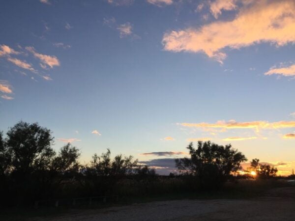 Camargue: Safari From Saintes-Maries-De-La-Mer - The Sum Up