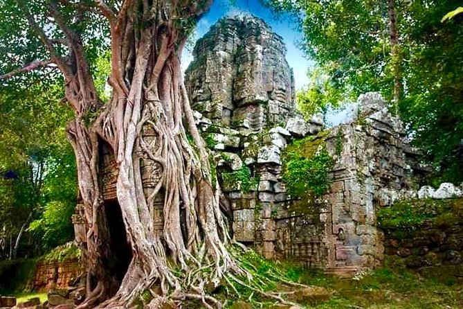 Cambodia Angkor Wat Full Day Tour  - Siem Reap - Highlights