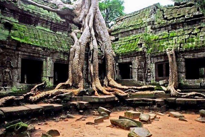 Cambodia Angkor Wat Full Day Tour  - Siem Reap - Directions