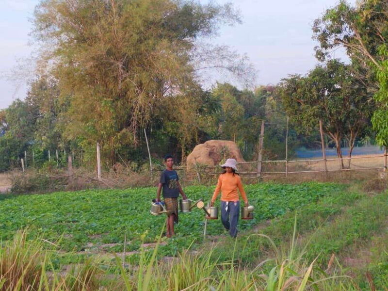 Cambodia Cooking Class, Oxcart Ride with Local Village Tour - The Breakdown of the Itinerary