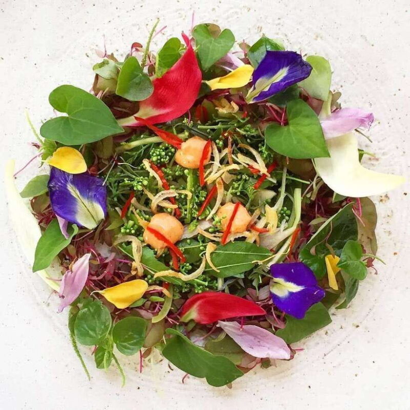 Cambodia Cooking Class, Oxcart Ride with Local Village Tour - Authenticity and Value