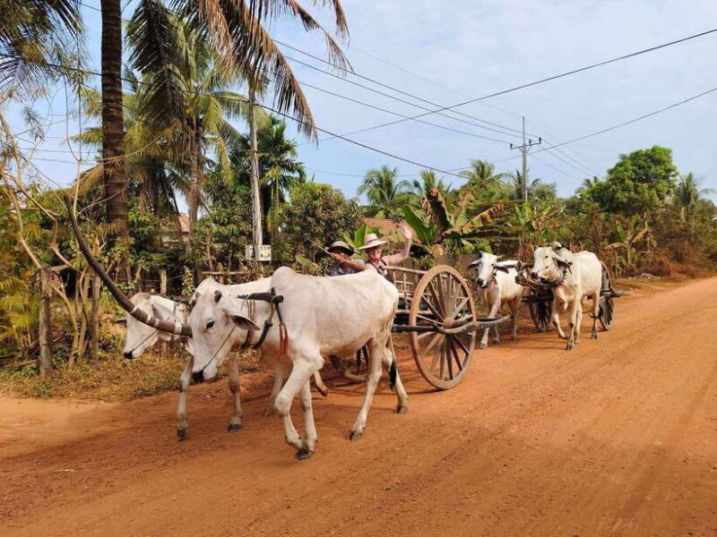 Cambodia Cooking Class, Oxcart Ride with Local Village Tour - FAQ