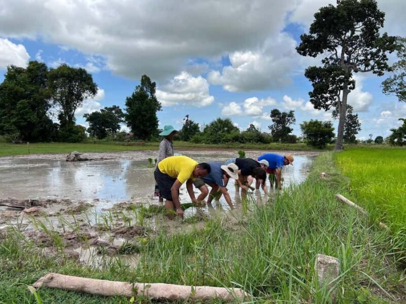 Cambodia Dark History Killing Field and Genocide Museum Tour - The Final Verdict