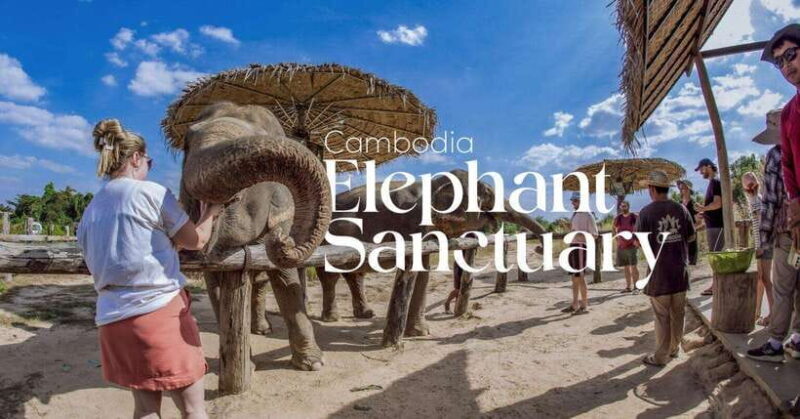 Cambodia Elephant Sanctuary and Banteay Srey Temple Tour - Good To Know