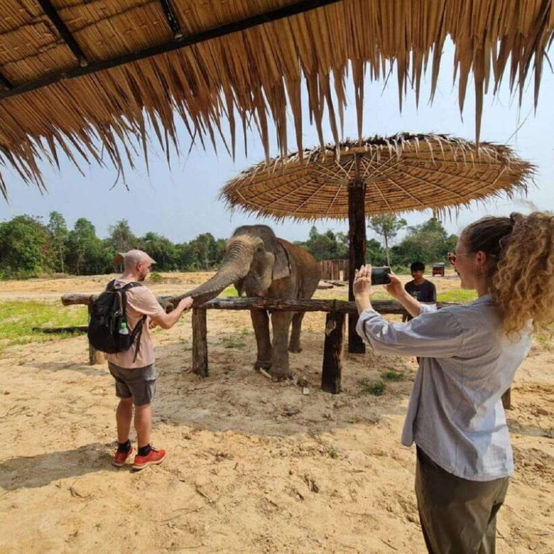 Cambodia Elephant Sanctuary and Banteay Srey Temple Tour - Who Is This Tour Best For?