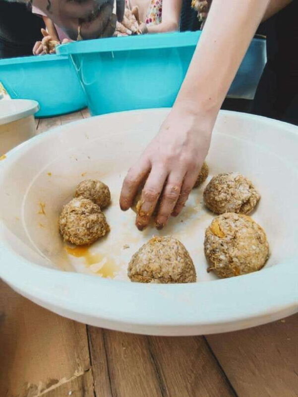 Cambodia Elephant Sanctuary and Banteay Srey Temple Tour - Frequently Asked Questions