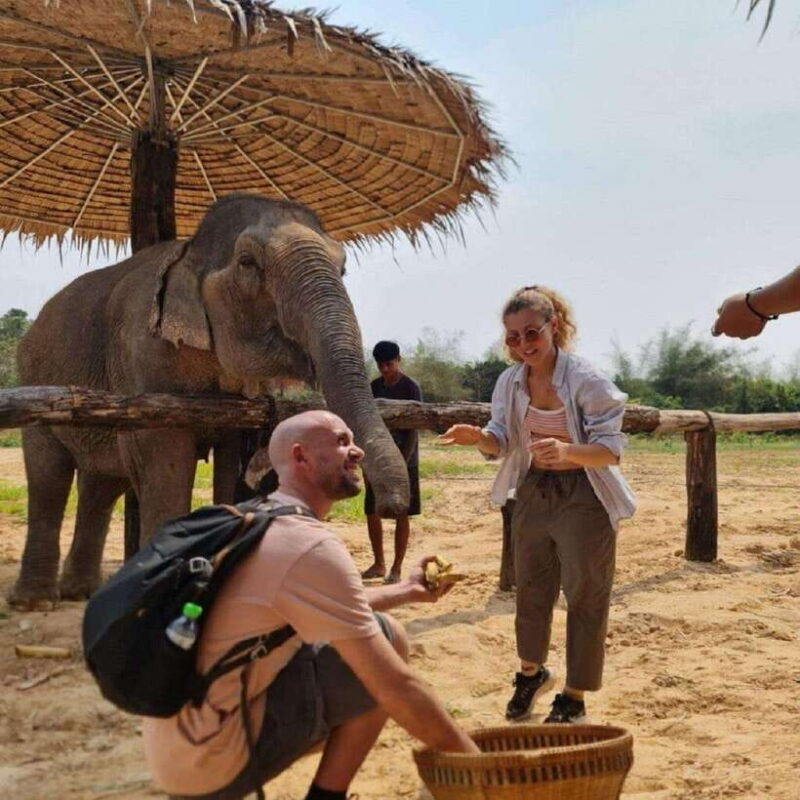 Cambodia Elephant Sanctuary and Banteay Srey Temple Tour - The Sum Up