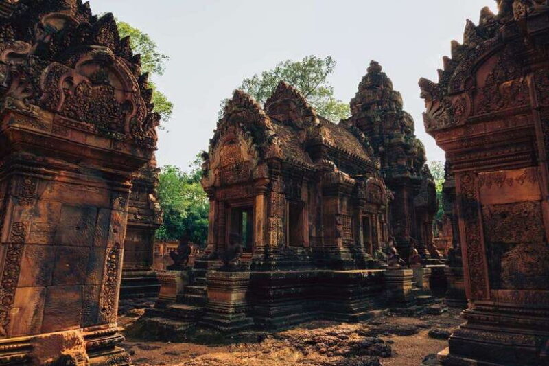 Cambodia Elephant Sanctuary and Banteay Srey Temple Tour - Good To Know