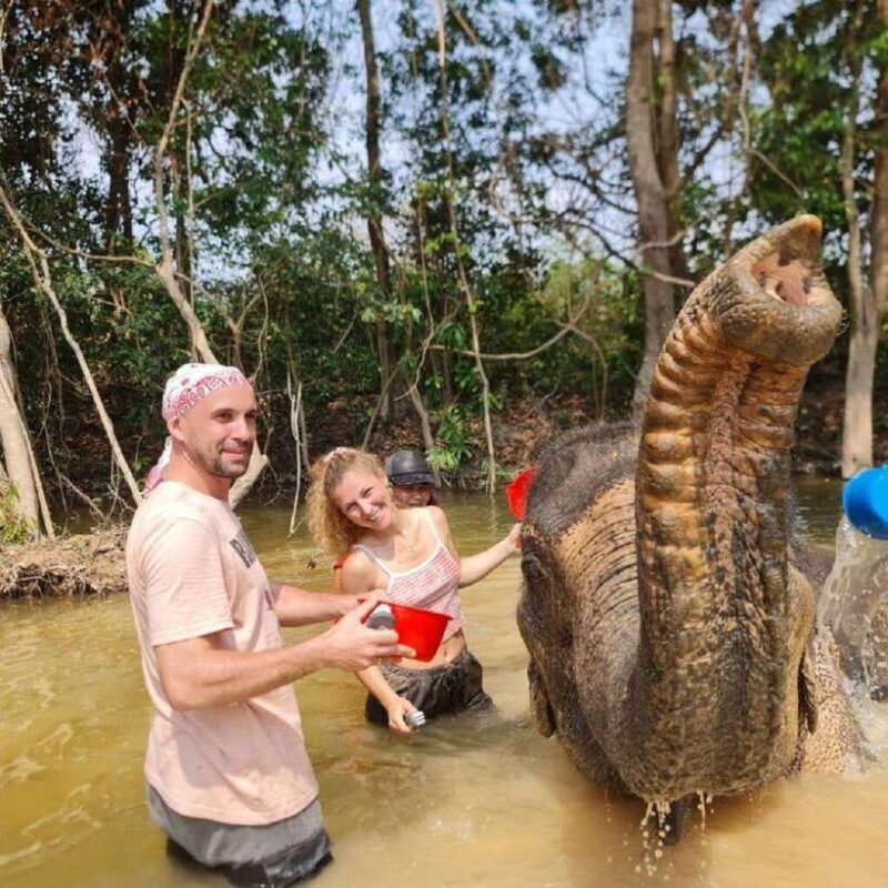 Cambodia Elephant Sanctuary and Banteay Srey Temple Tour - FAQs