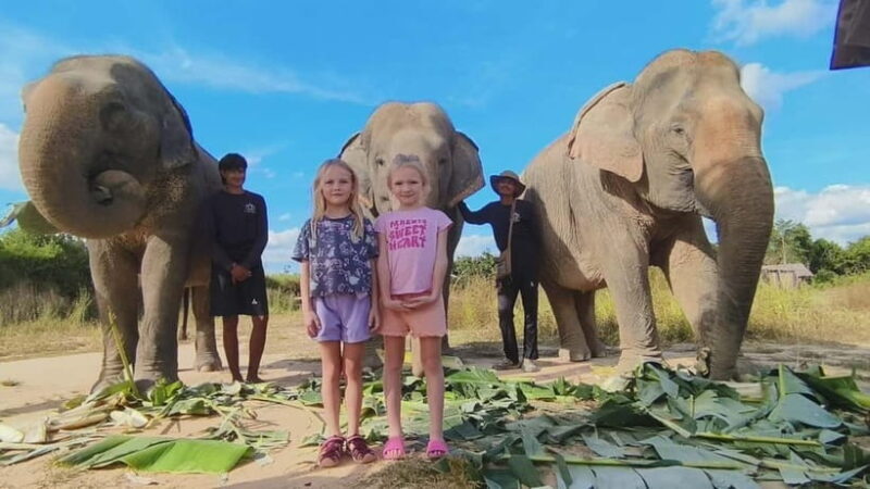 Cambodia Elephants Haft Day Experiences from Siem Reap - Authentic Insights from Reviewers