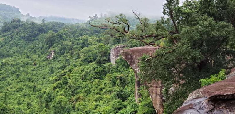 Cambodia Elephants Haft Day Experiences from Siem Reap - The Sum Up