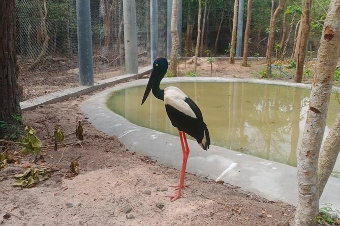 Cambodia Wildlife Sanctuary and Countryside Tour - Directions