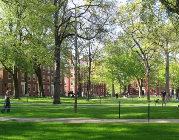 Cambridge, Massachusetts: MIT and Harvard Walking Tour - Accessibility and Inclusions