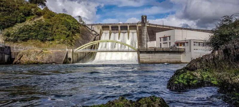 Cambridge, Matamata, Waitomo: 1-Hour Ecological River Cruise - The Itinerary in Detail: What to Expect