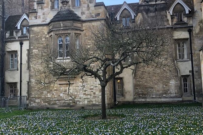 Cambridge Science Tour - Cambridge University Student Guide