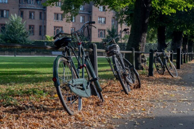 Cambridge: Walking Tour With Optional King's College Entry - Tour Details