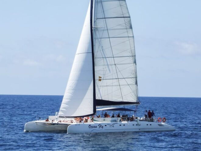 Cambrils: Costa Daurada Sail Catamaran Cruise - Available Languages and Accessibility