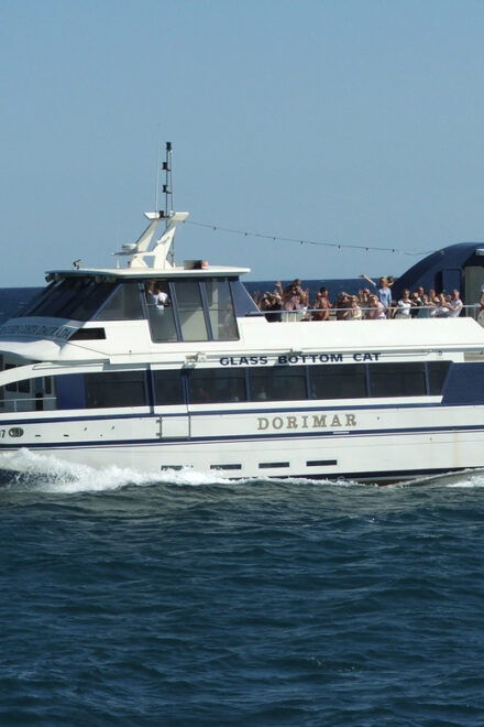 Cambrils-Salou / Salou-Cambrils Round Trip Ferry - Accessibility and Booking