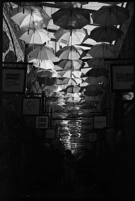 Camden: Photography Tour (Film Cameras Welcome!) - Exploring Camden with a Camera: A Detailed Look