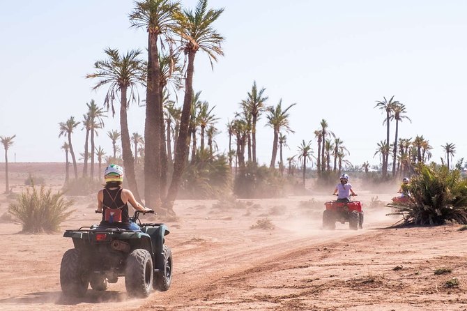 Camel and ATV Ride in the Palmeraie Near Marrakech - Overview and Activity Details