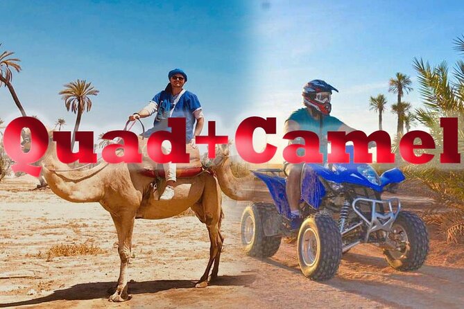 Camel and ATV Ride in the Palmeraie Near Marrakech - What to Expect