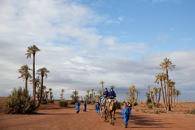 Camel and Quad Biking Tour From Marrakech - Tour Overview
