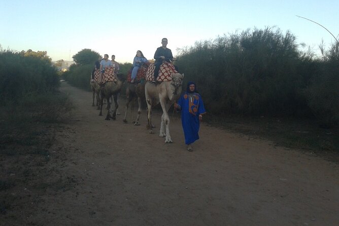 Camel Barbecue Sunset Agadir City - Pickup Information