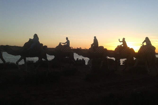 Camel Barbecue Sunset Agadir City - Frequently Asked Questions