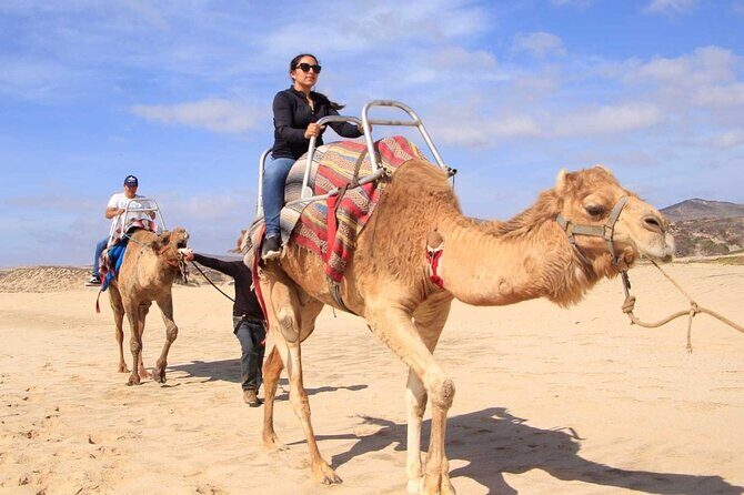 Camel Desert Ride Experience in Cabo - Good To Know