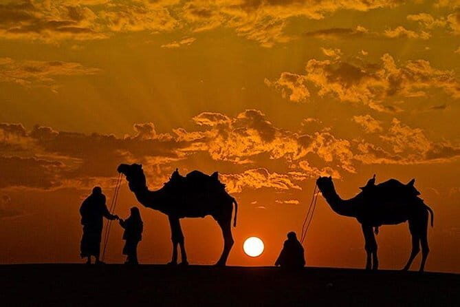 Camel Desert Safari with Sunset -The Pushkar Route - Who Will Love This Experience?
