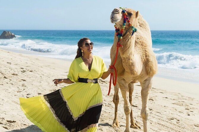Camel Encounter and Safari Ride. Includes lunch & alcohol tasting - Introduction