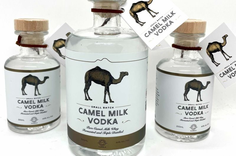 Camel Farm Experience in Brisbane - Is the tour worth the price?
