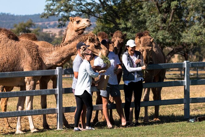 Camel Farm Tour and Taste - Cancellation Policy
