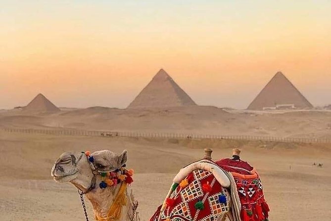 Camel or a Horse Ride at the Pyramids of Giza Area - Booking Options