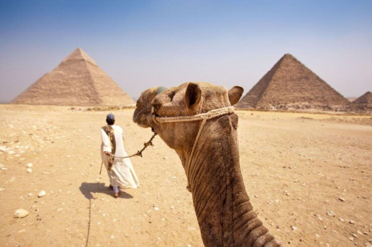 Camel or Horse Ride Tour at Giza Pyramids - Activity Experience