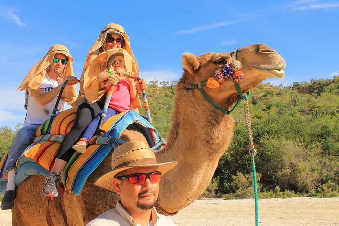 Camel Quest With Snacks & Waterslides - Animal Sanctuary and Camel Experience