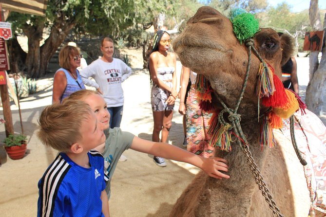 Camel Quest With Snacks & Waterslides - Flexible Cancellation Policy