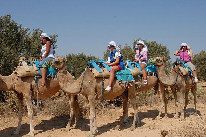 Camel Ride - Good To Know