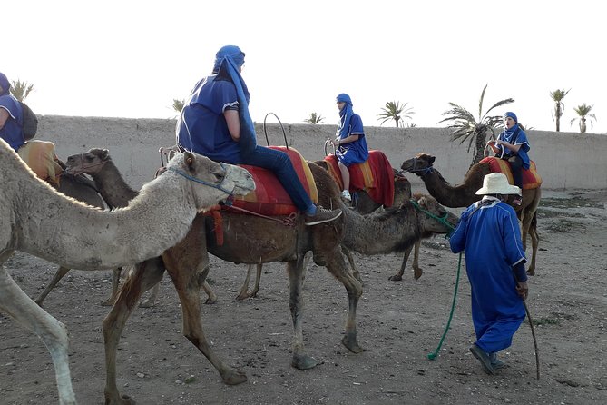 Camel Ride Adventure For Everyone - Pricing and Payment