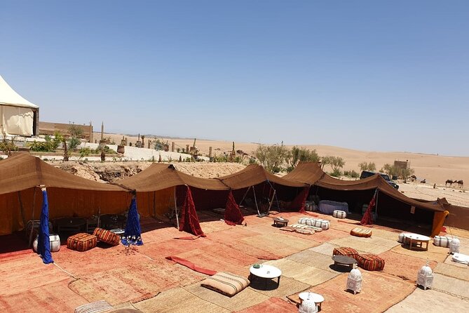 Camel Ride and Dinner Agafay Desert - Camelback Adventure in the Desert