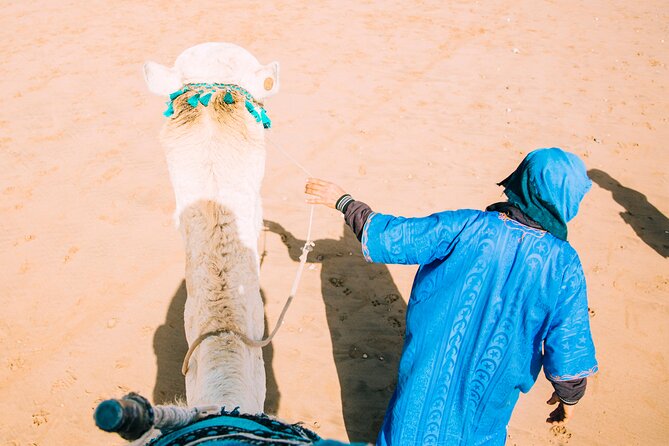 Camel Ride and Dinner in the Agafay Desert With Transportation - Menu Highlights