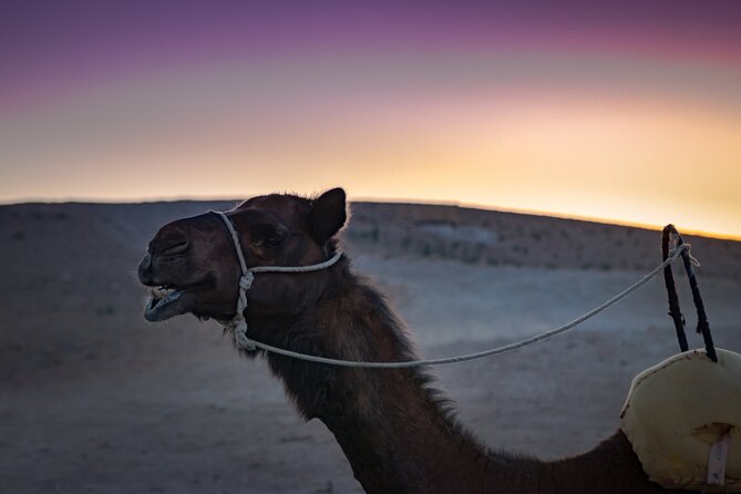 Camel Ride and Dinner in the Agafay Desert With Transportation - Frequently Asked Questions